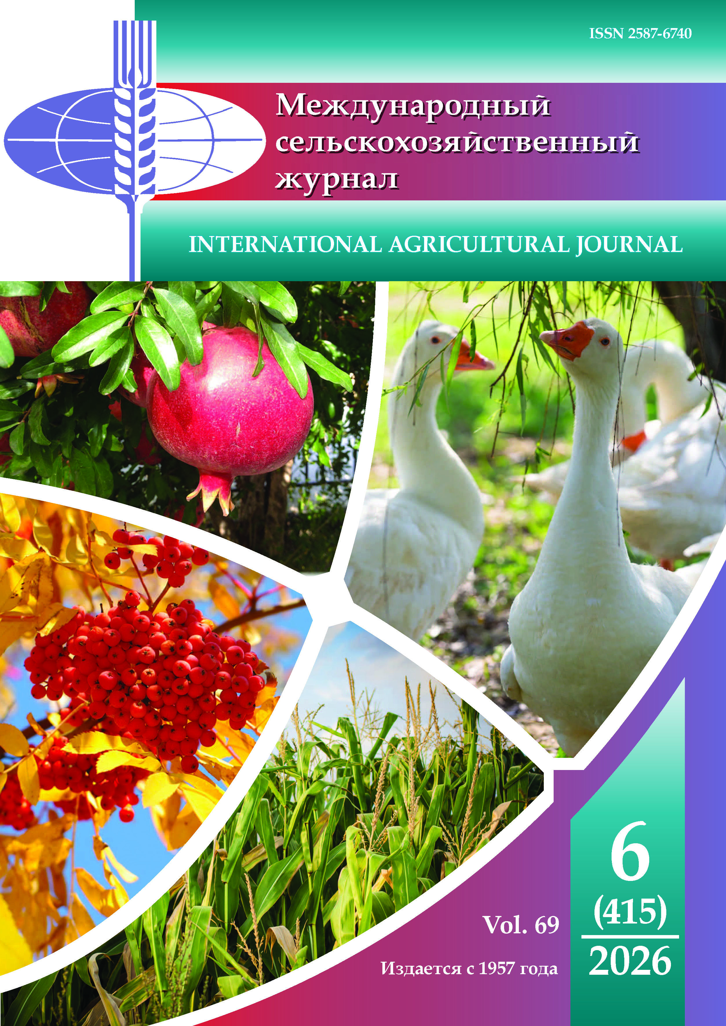 Issue 6