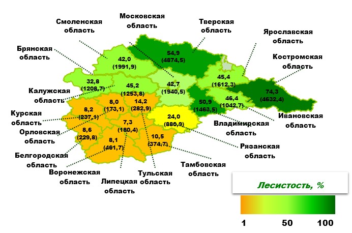 Природные зоны центра россии
